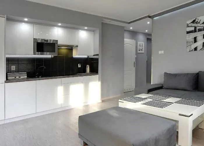 Apartament Grafitowy